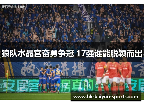 狼队水晶宫奋勇争冠 17强谁能脱颖而出